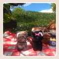Two Cats on a Picnic Sticker