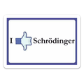 Schrodinger Sticker waterproof vinyl sticker