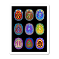 Colorful Brain Scans Sticker waterproof vinyl sticker