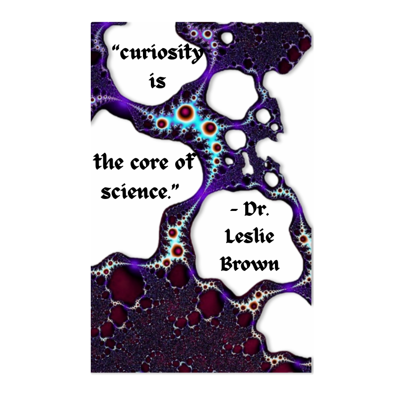 Curiosity Is The Core Of Science Sticker waterproof vinyl sticker