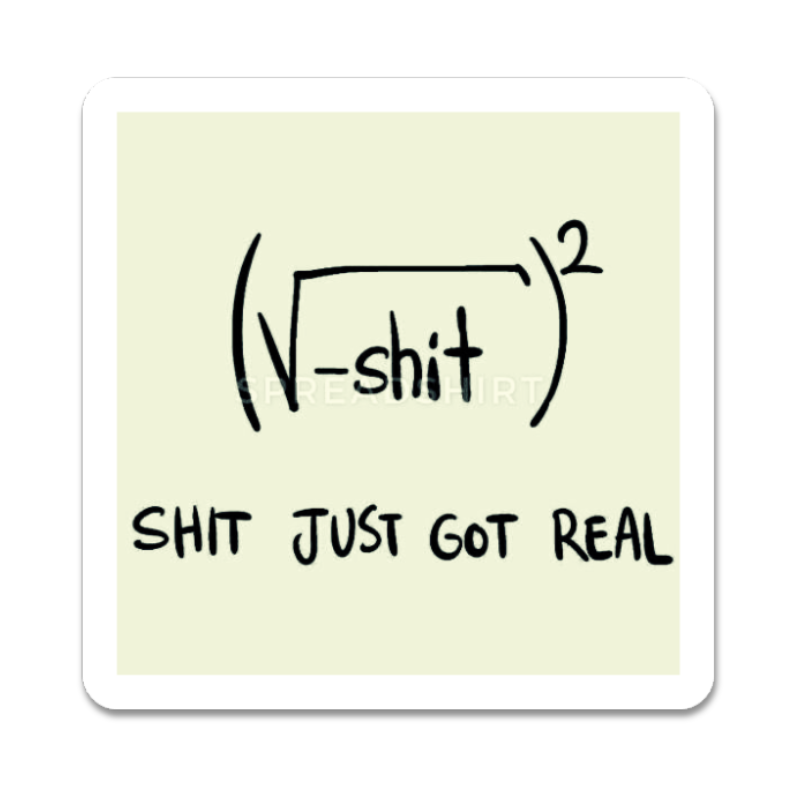 Shit Just Got Real Equation Sticker waterproof vinyl sticker
