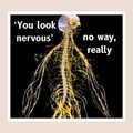 You Look Nervous Meme Sticker waterproof vinyl sticker