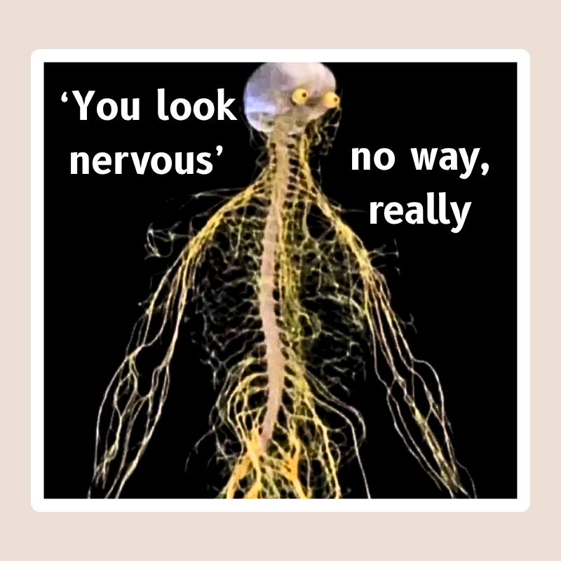 You Look Nervous Meme Sticker waterproof vinyl sticker