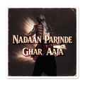 Nadaan Parinde Ghar Aaja Sticker waterproof vinyl sticker