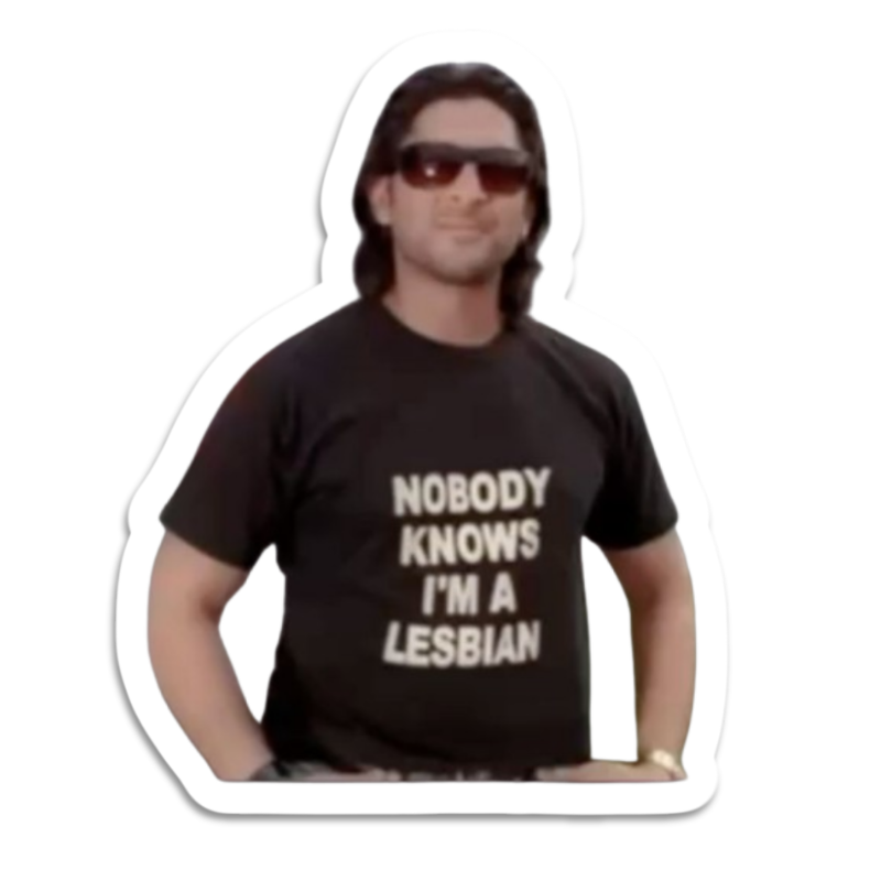 Nobody Knows I'm a Lesbian