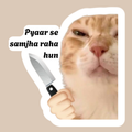 serial cat