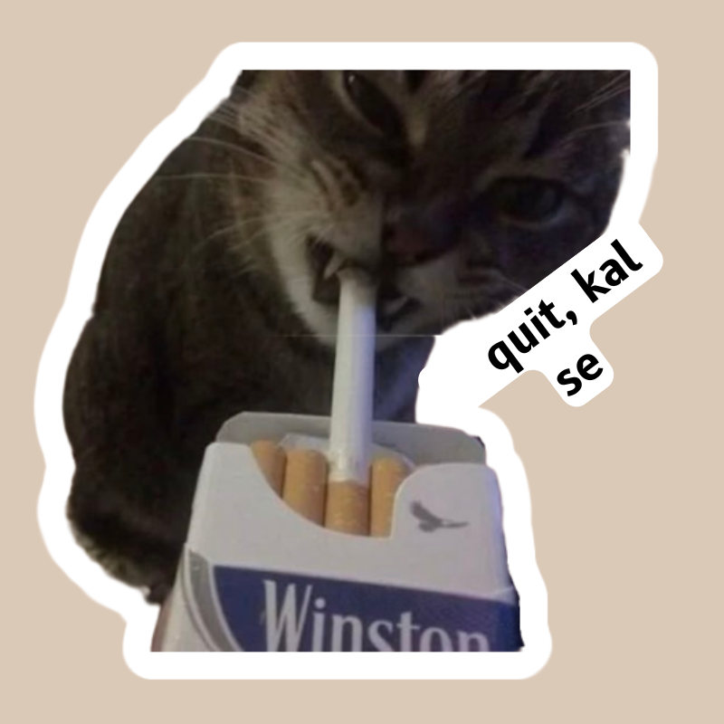 sutteri cat