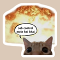 disfunctional cat