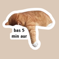 sleepy paw