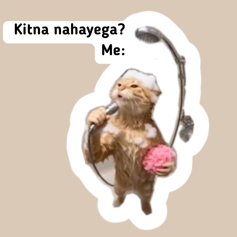 shower enjoyer cat