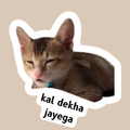 tired cat
