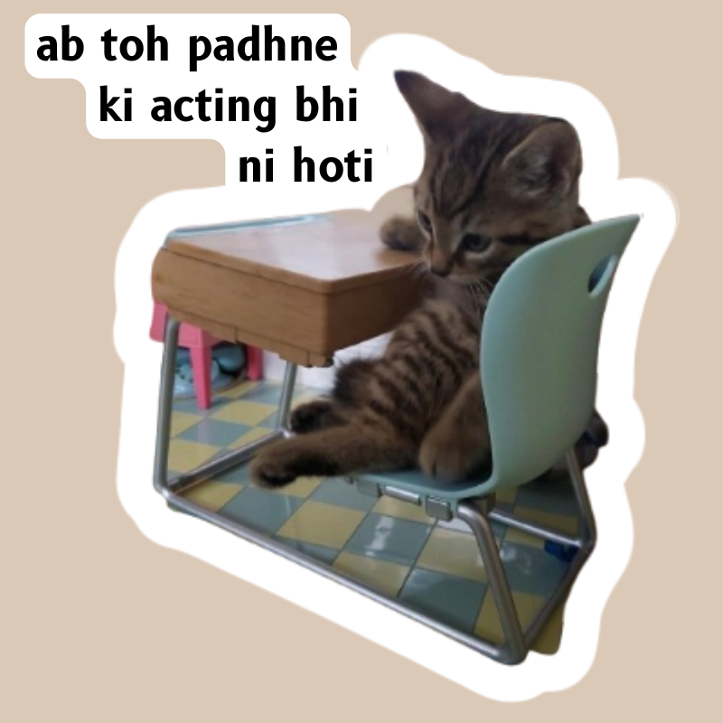 demotivated cat