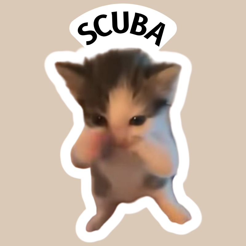 scuba cat