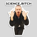 Science Bitch Jesse Pinkman