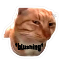Blushing Cat Meme