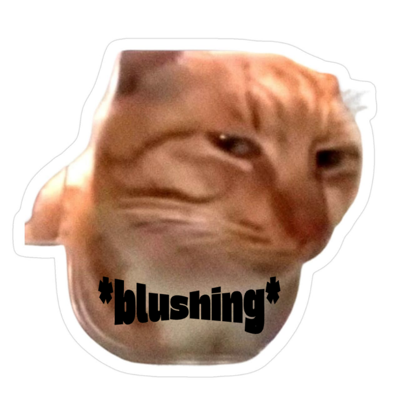 Blushing Cat Meme