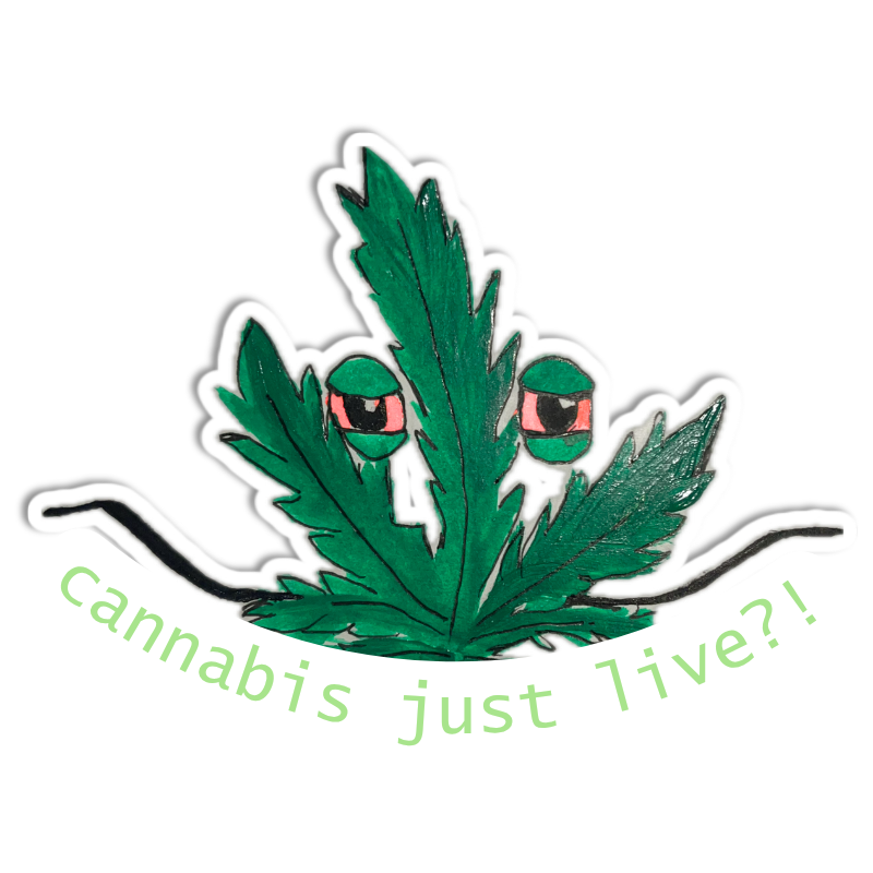 Cannabis Just Live