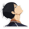 Anime Tobio Kageyama Sticker